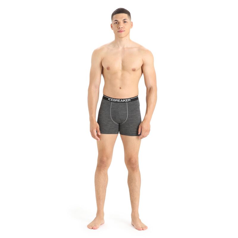 Icebreaker Mens Anatomica Boxers image number 18